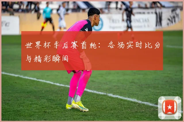 世界杯季后赛首轮:各场实时比分与精彩瞬间